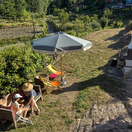 Quinta Da Peca Douro Vinhateiro Vila Real Εξωτερικό φωτογραφία