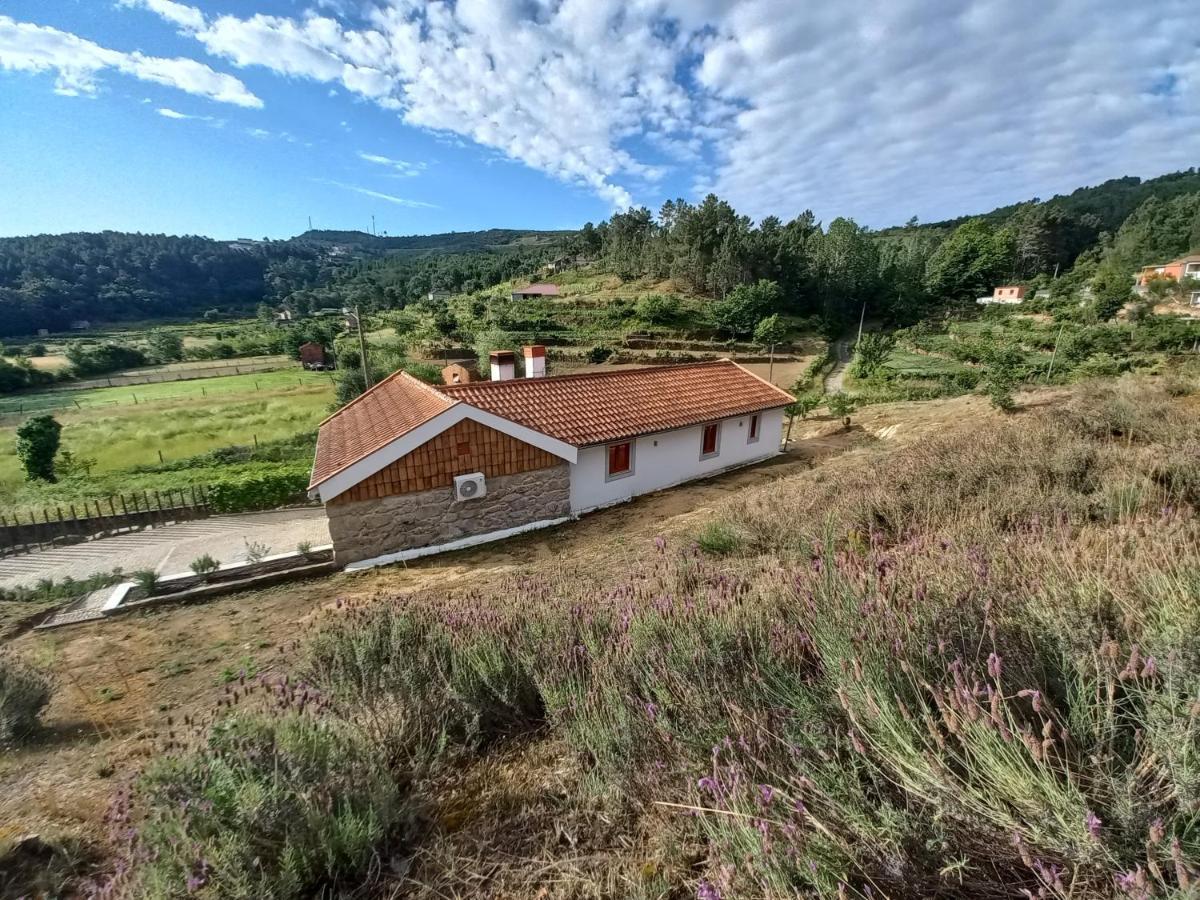 Quinta Da Peca Douro Vinhateiro Vila Real Εξωτερικό φωτογραφία