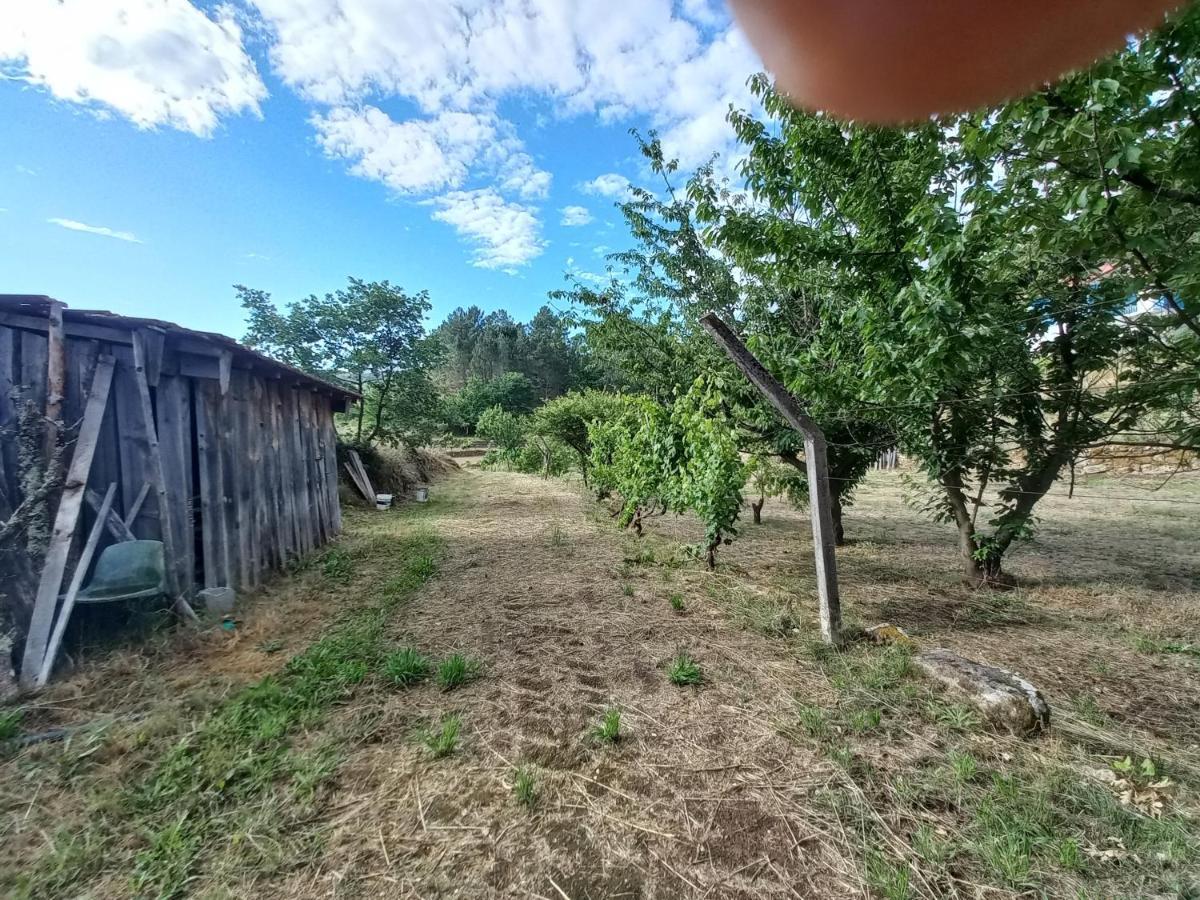 Quinta Da Peca Douro Vinhateiro Vila Real Εξωτερικό φωτογραφία