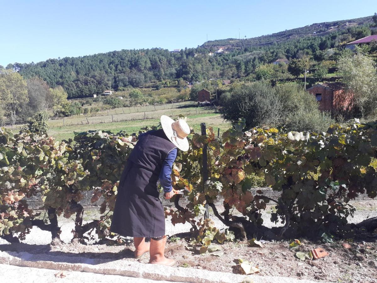 Quinta Da Peca Douro Vinhateiro Vila Real Εξωτερικό φωτογραφία
