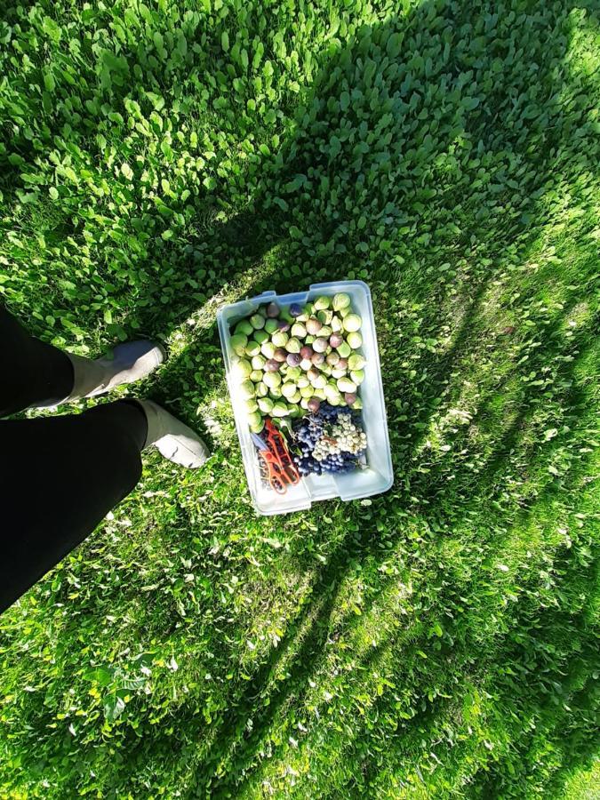 Quinta Da Peca Douro Vinhateiro Vila Real Εξωτερικό φωτογραφία