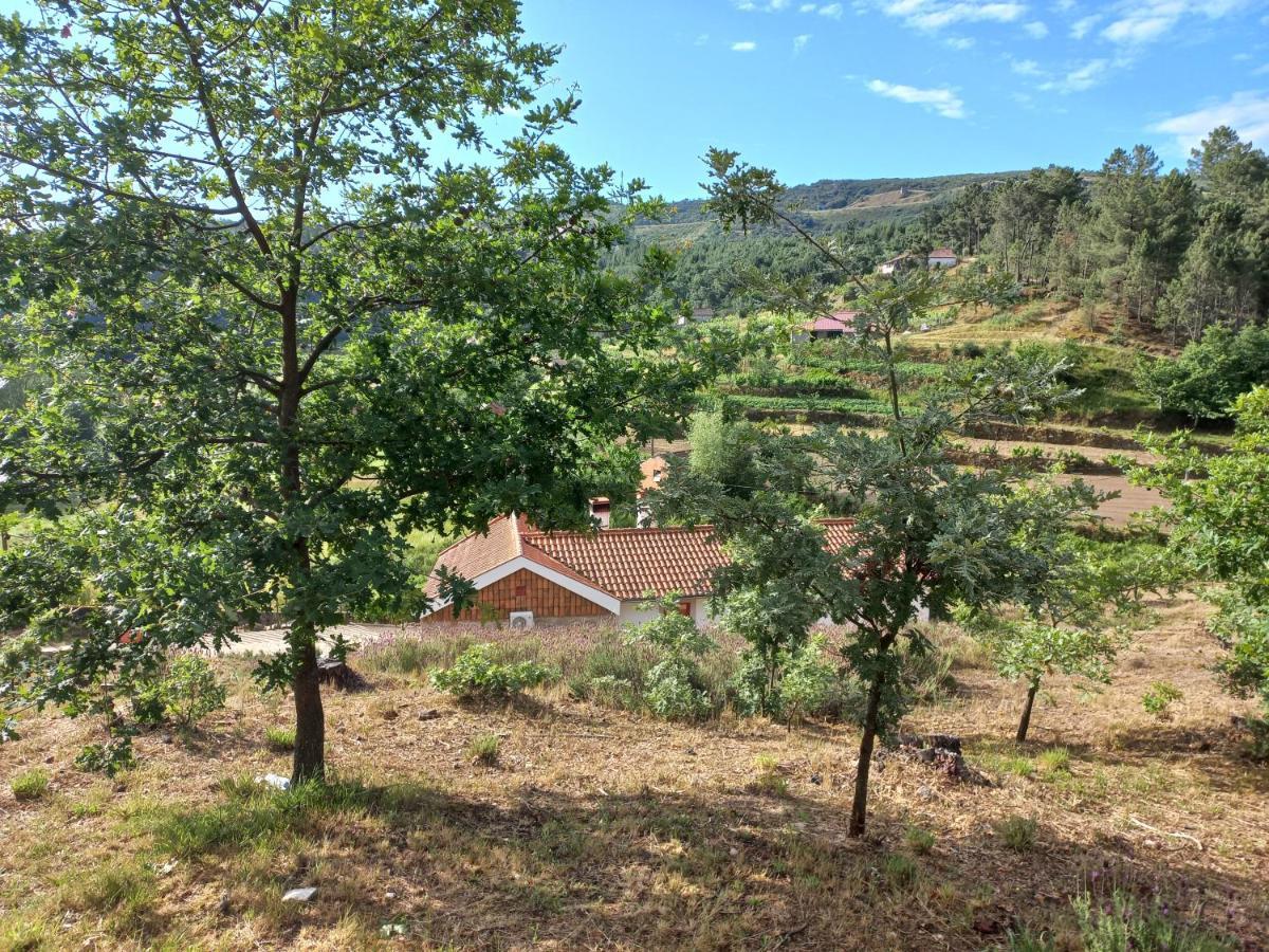 Quinta Da Peca Douro Vinhateiro Vila Real Εξωτερικό φωτογραφία