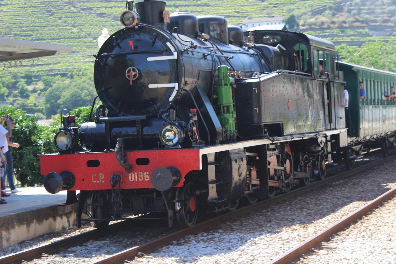 Quinta Da Peca Douro Vinhateiro Vila Real Εξωτερικό φωτογραφία
