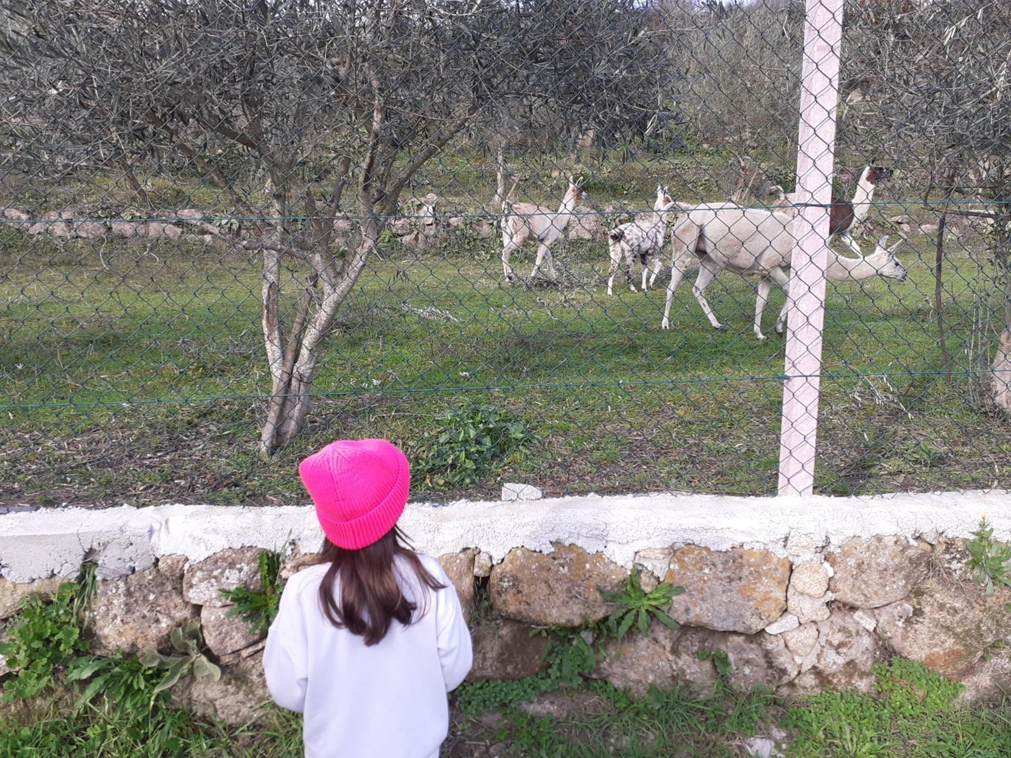 Quinta Da Peca Douro Vinhateiro Vila Real Εξωτερικό φωτογραφία