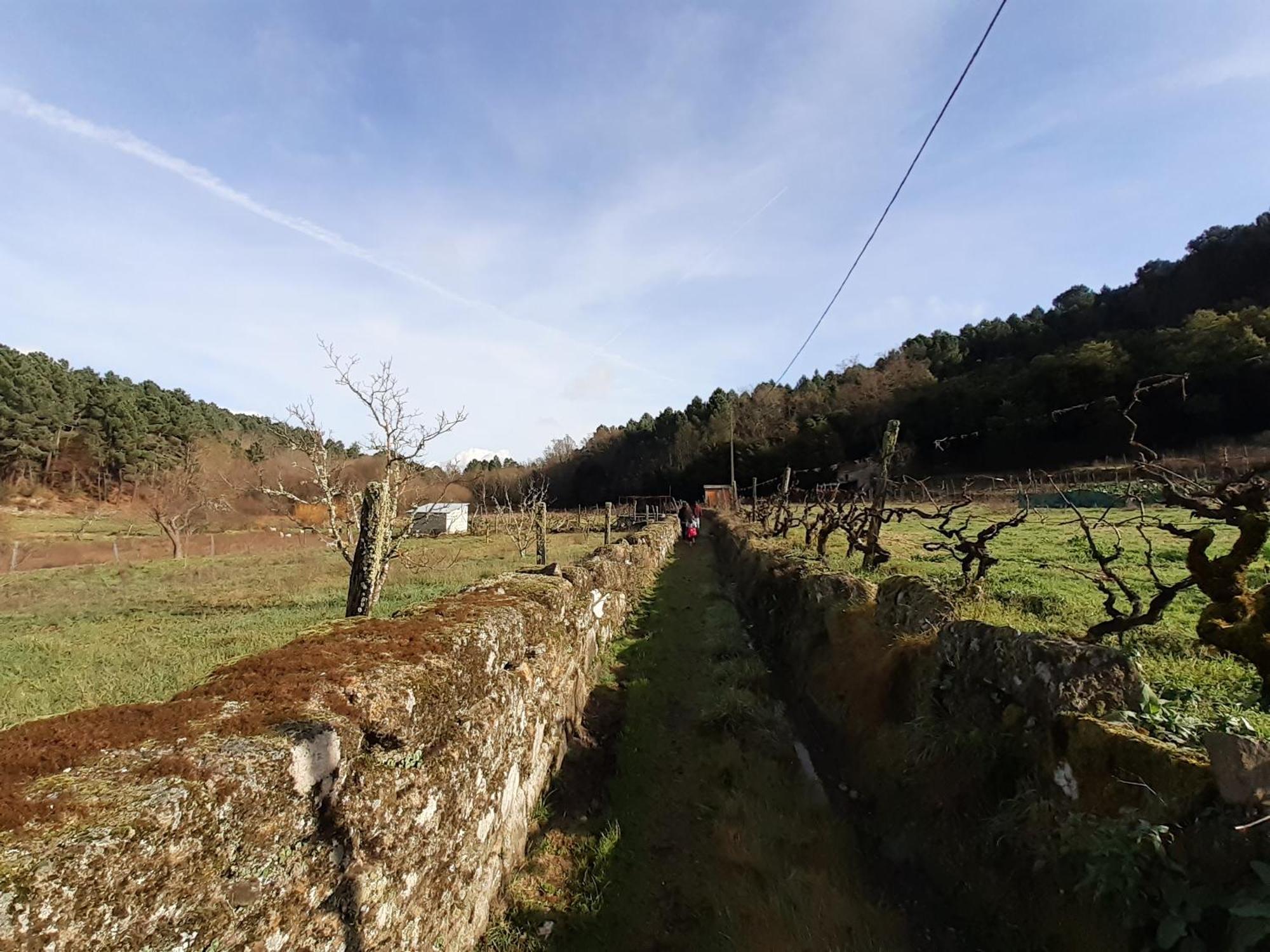 Quinta Da Peca Douro Vinhateiro Vila Real Εξωτερικό φωτογραφία