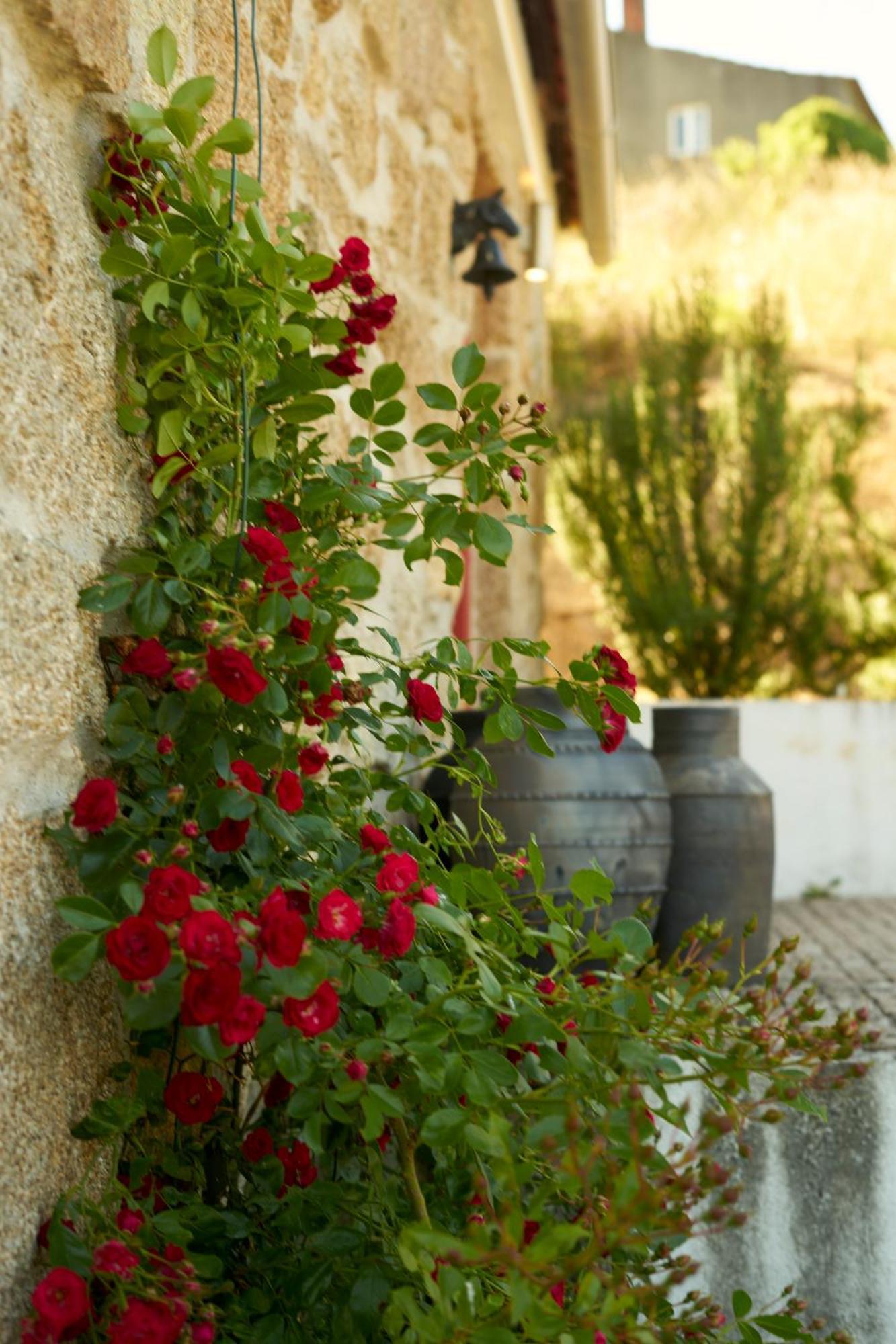 Quinta Da Peca Douro Vinhateiro Vila Real Εξωτερικό φωτογραφία