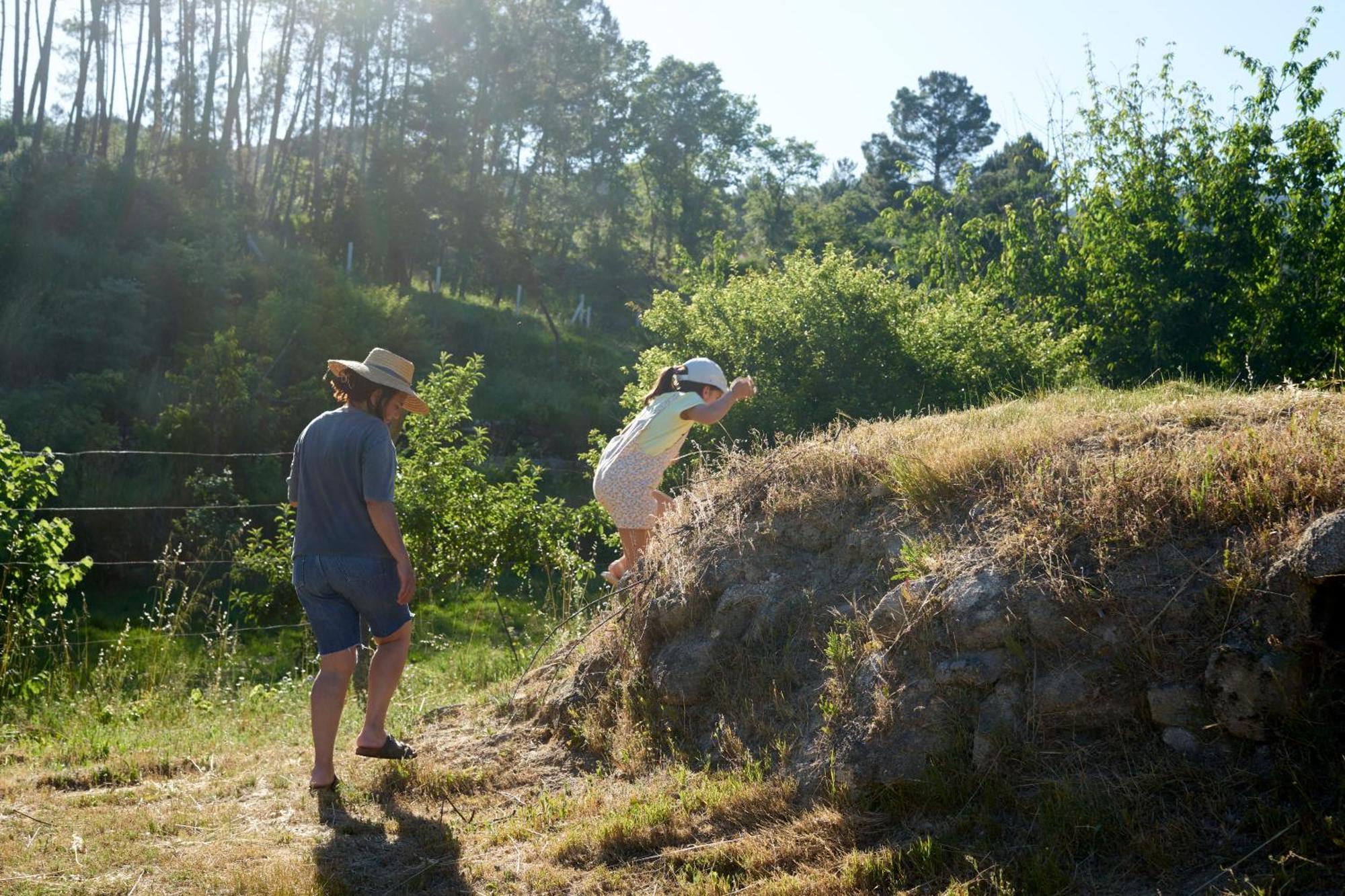 Quinta Da Peca Douro Vinhateiro Vila Real Εξωτερικό φωτογραφία